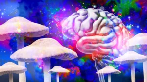 neural-connectivity-and-brain-activity-show-lasting-alterations-following-psilocybin-administration