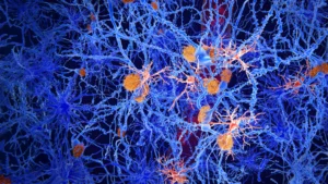 neuro-immune-cell-reprogramming-emerges-as-novel-strategy-against-alzheimers-pathology
