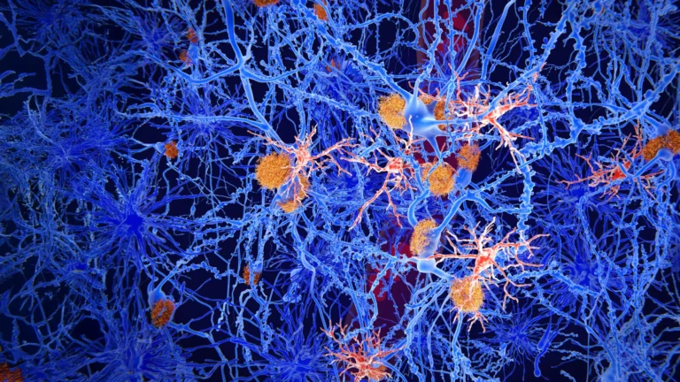 neuro-immune-modulation-novel-compound-reinvigorates-brains-guardian-cells-against-alzheimers-pathology