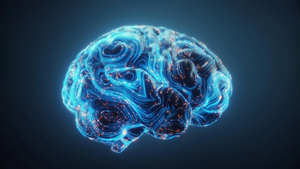 neuroplasticity-unveiled-extensive-training-reshapes-brain-architecture-for-true-multitasking-capability