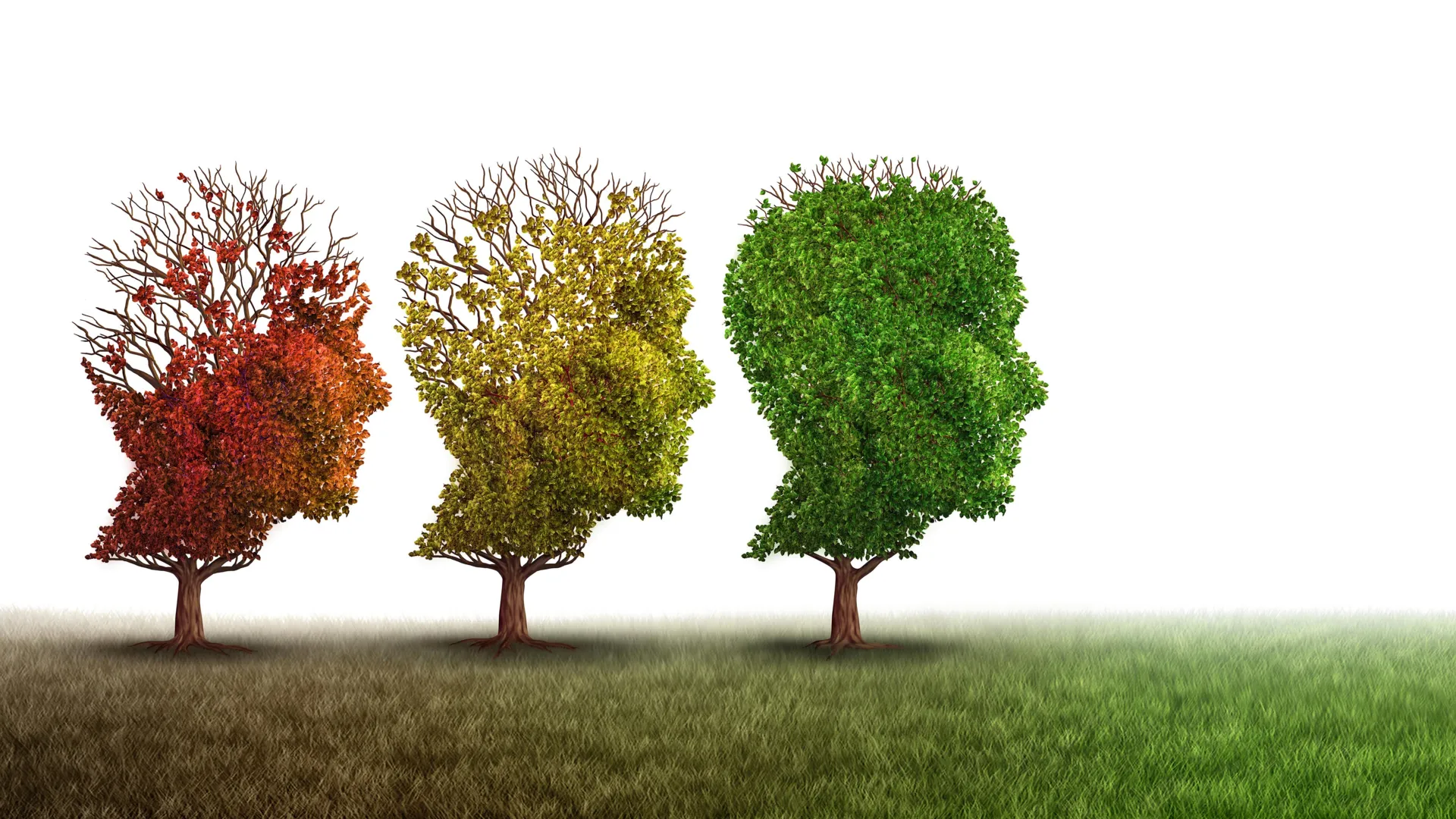 novel-copper-compound-demonstrates-restorative-potential-in-alzheimers-pathology-and-cognitive-function