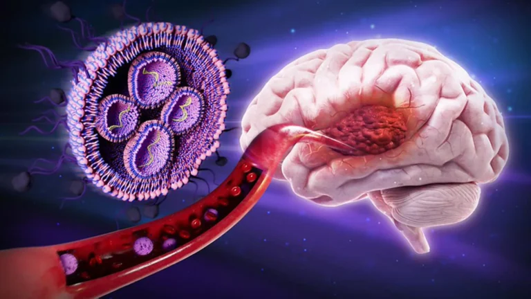 novel-nanocarriers-featuring-mannose-vestments-dramatically-enhance-glioblastoma-survival-rates-in-preclinical-models