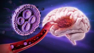 novel-nanotechnology-breakthrough-significantly-enhances-survival-rates-in-aggressive-brain-cancer-models