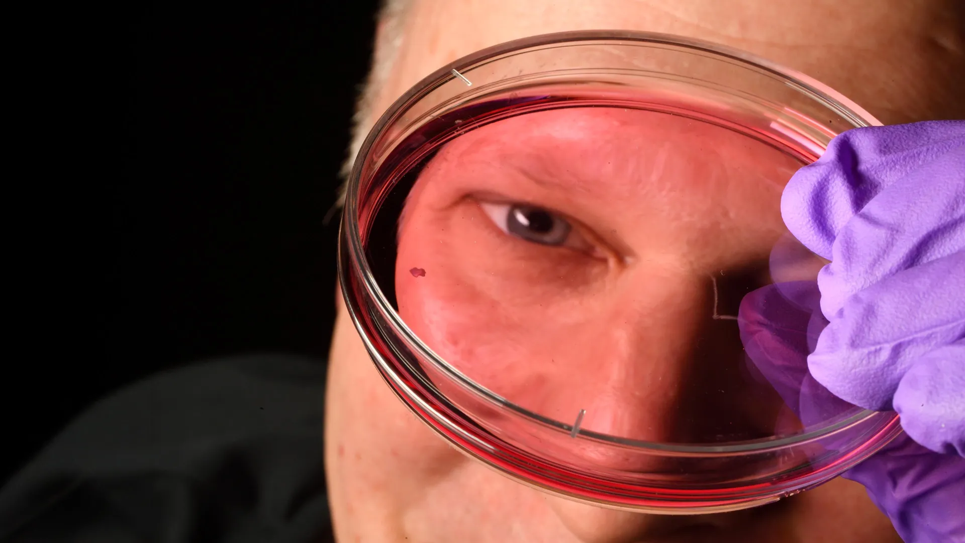 pioneering-research-unravels-primate-visual-acuity-genesis-in-utero