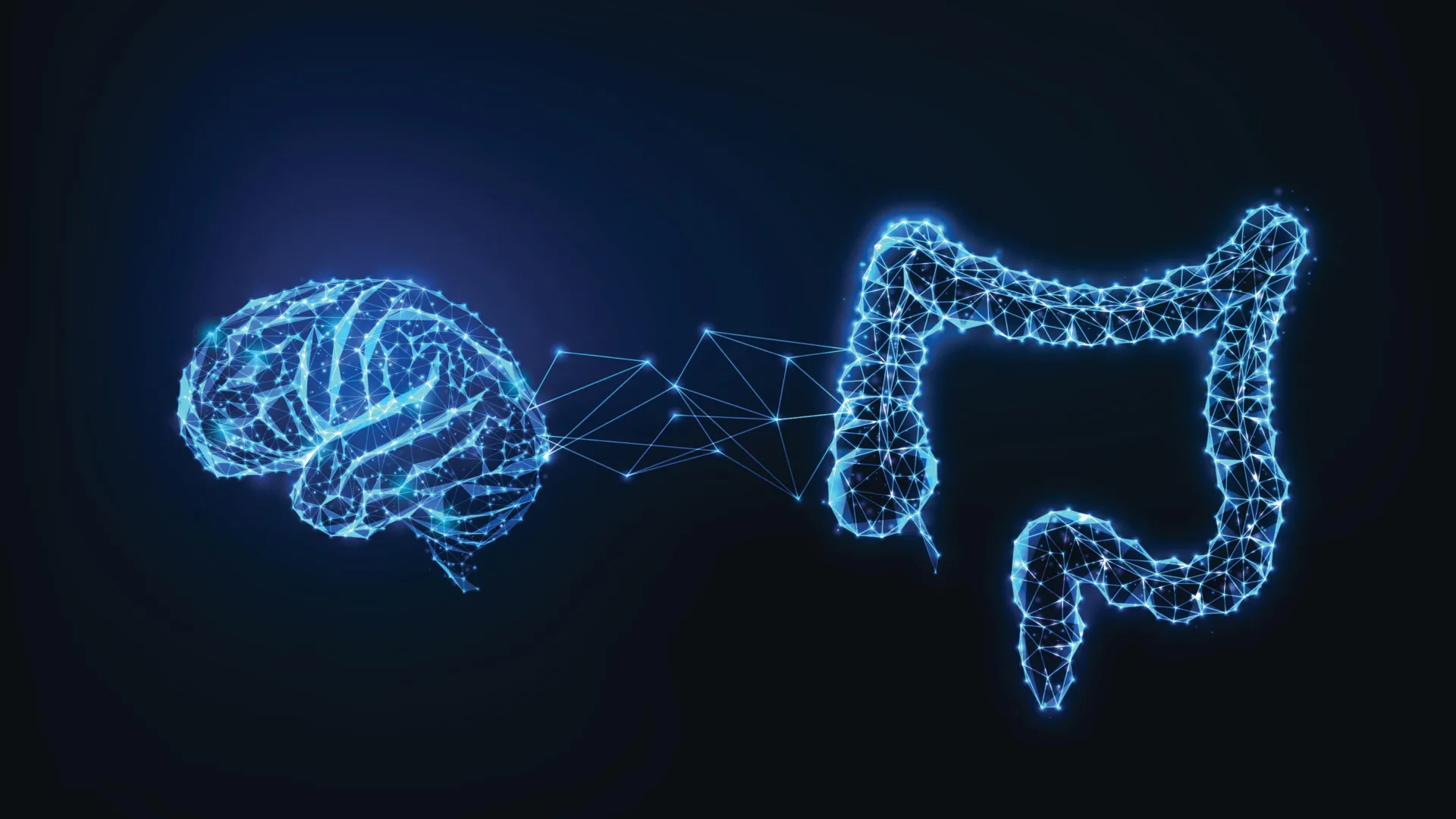 the-gut-brain-axis-unraveling-the-digestive-systems-influence-on-memory-consolidation