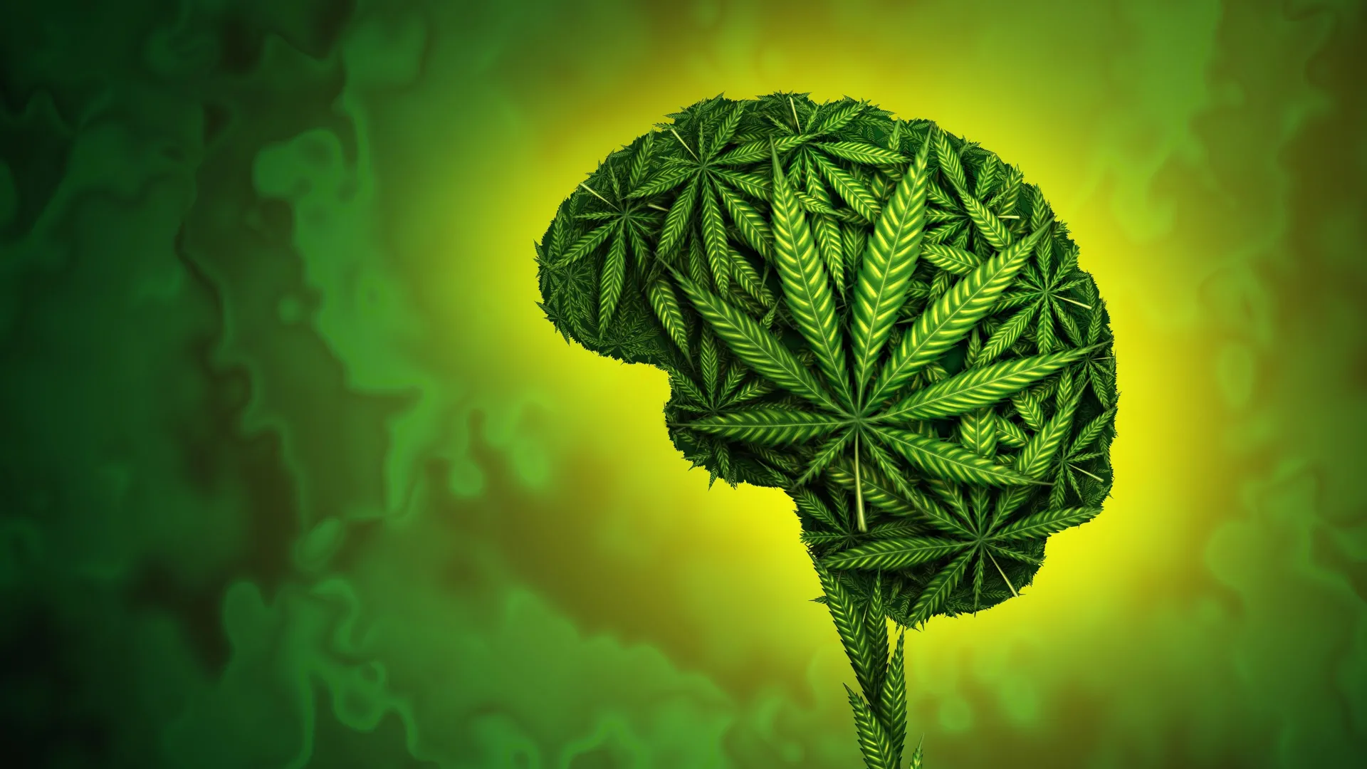 adolescent-brain-maturation-shows-altered-trajectories-in-early-cannabis-users