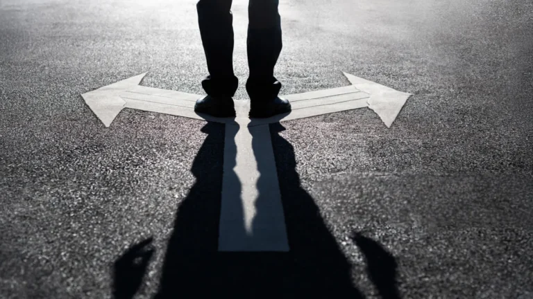 cognitive-pathways-how-past-choices-wire-present-preferences