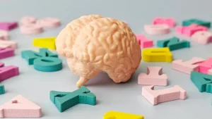 cognitive-reserve-boost-multilingualism-correlates-with-biologically-younger-brain-structure