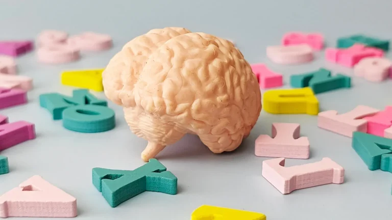 cognitive-reserve-boost-multilingualism-correlates-with-biologically-younger-brain-structure