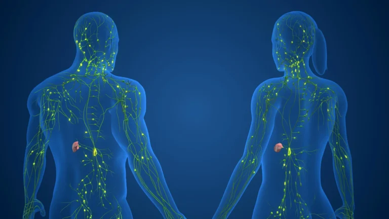 decoding-sex-specific-immune-system-function-a-genomic-perspective-on-autoimmunity