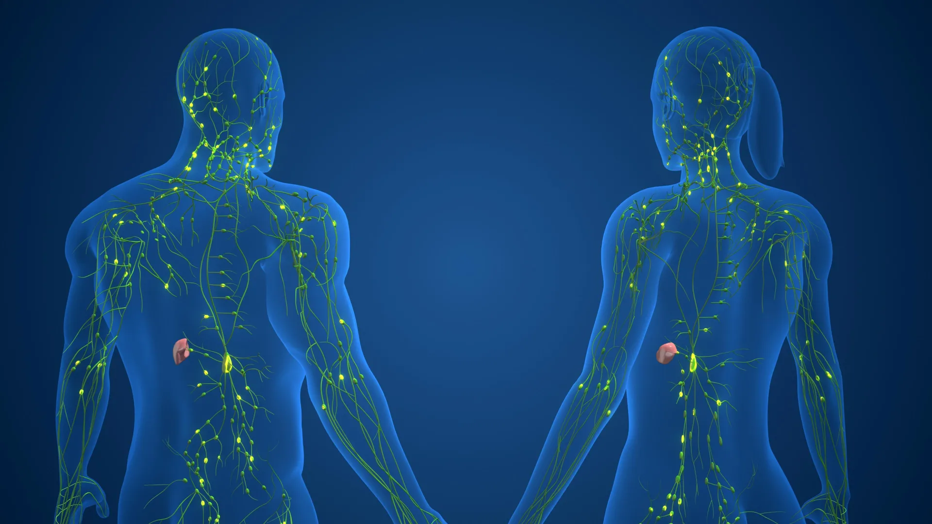 decoding-sex-specific-immune-system-function-a-genomic-perspective-on-autoimmunity