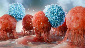 dietary-yeast-beta-glucan-reprograms-innate-immunity-showing-promise-in-countering-obesitys-impact-on-cancer-defense