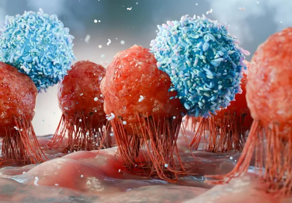 dietary-yeast-beta-glucan-reprograms-innate-immunity-showing-promise-in-countering-obesitys-impact-on-cancer-defense