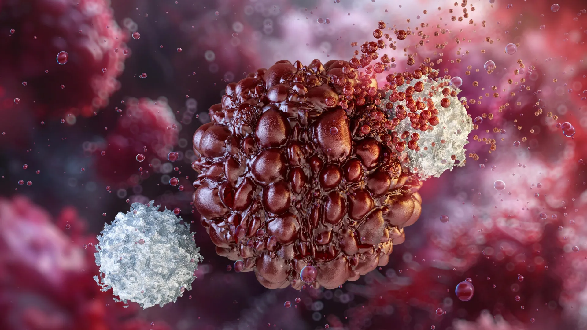 evolutionary-sentinel-ancient-immune-protein-emerges-as-key-to-enhancing-cancer-immunotherapy-efficacy