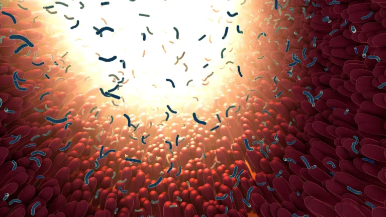 gut-microbe-metabolites-instill-lasting-immune-tolerance-in-intestinal-cells-revealing-new-therapeutic-pathways-for-chronic-inflammation