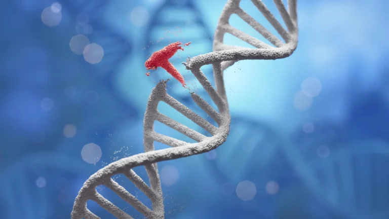 nanoparticle-assisted-precision-genome-assembly-revolutionizes-genetic-engineering-efficiency