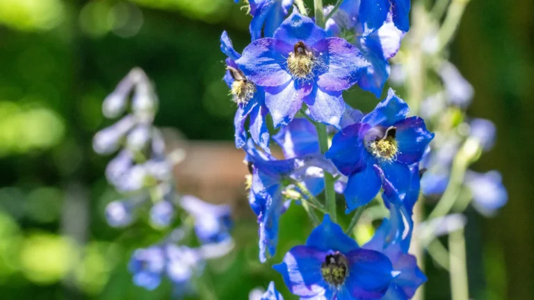 natures-potent-pharmacy-unlocking-the-secrets-of-toxic-botanicals-for-medical-breakthroughs