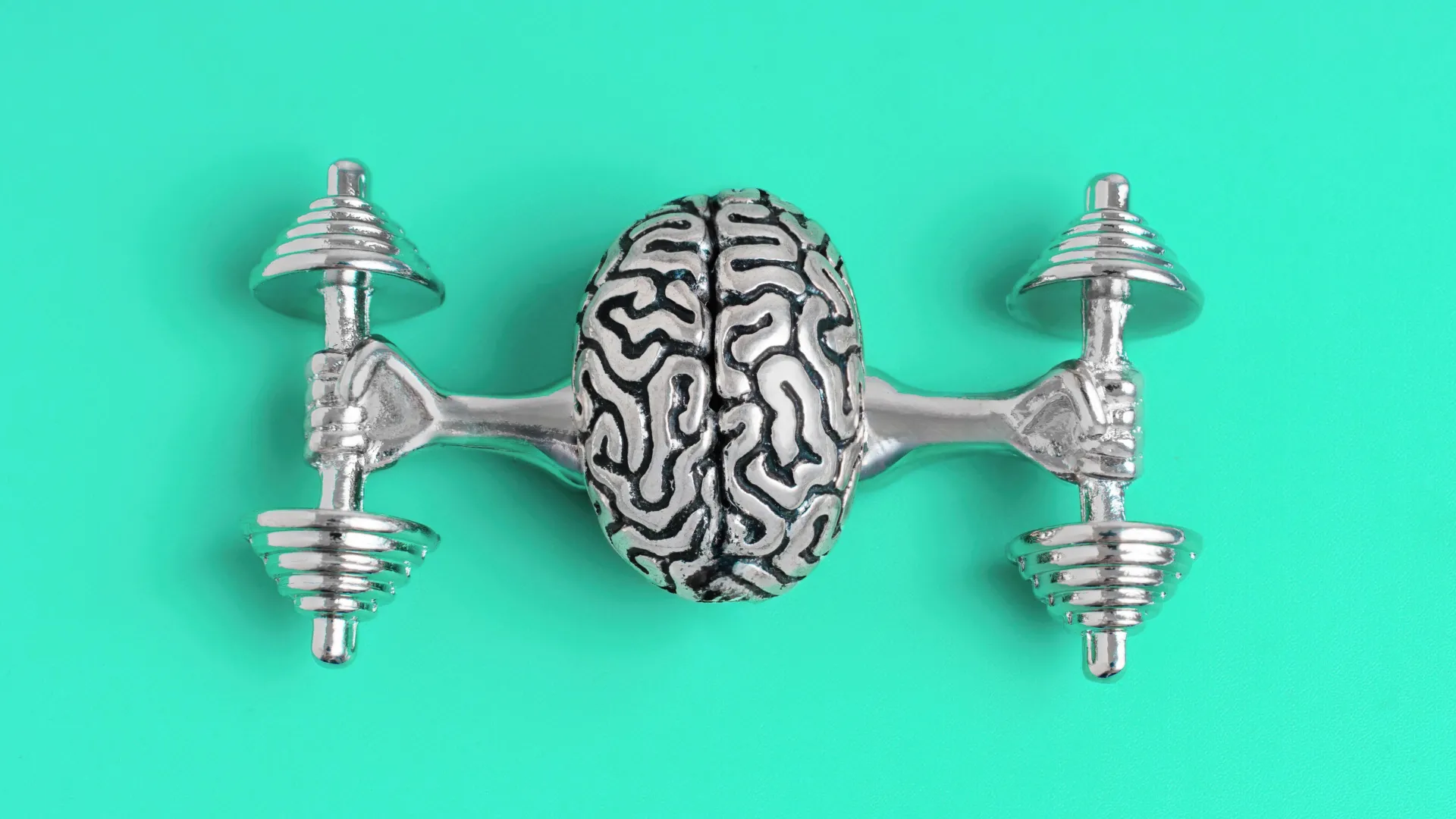 neural-circuits-unveiled-japanese-researchers-pinpoint-brain-cells-crucial-for-sustaining-drive-towards-goals