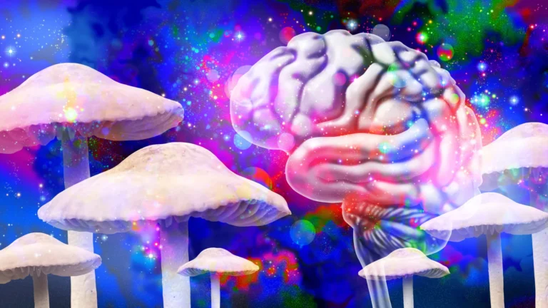 neural-plasticity-unveiled-psilocybins-enduring-brain-rewiring-documented-for-extended-periods