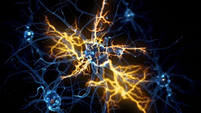 neural-regeneration-breakthrough-scientists-uncover-molecular-gatekeeper-hindering-nerve-repair