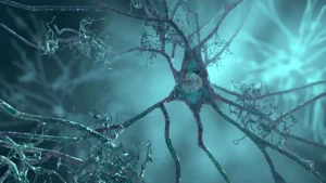 neurobiological-precursors-to-alzheimers-identified-apoe4-variant-linked-to-early-neuronal-dysfunction