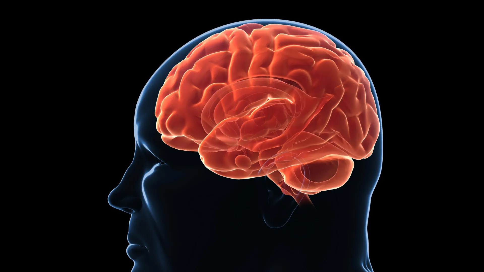 neurobiological-setpoints-understanding-the-brains-role-in-weight-regulation-and-reversal