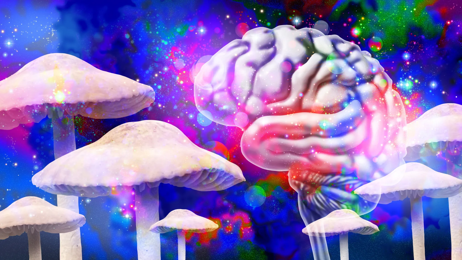 neurochemical-flux-psilocybins-echo-reshapes-brain-connectivity-for-weeks