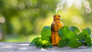 novel-research-unveils-peppermint-oils-potential-in-mild-hypertension-management