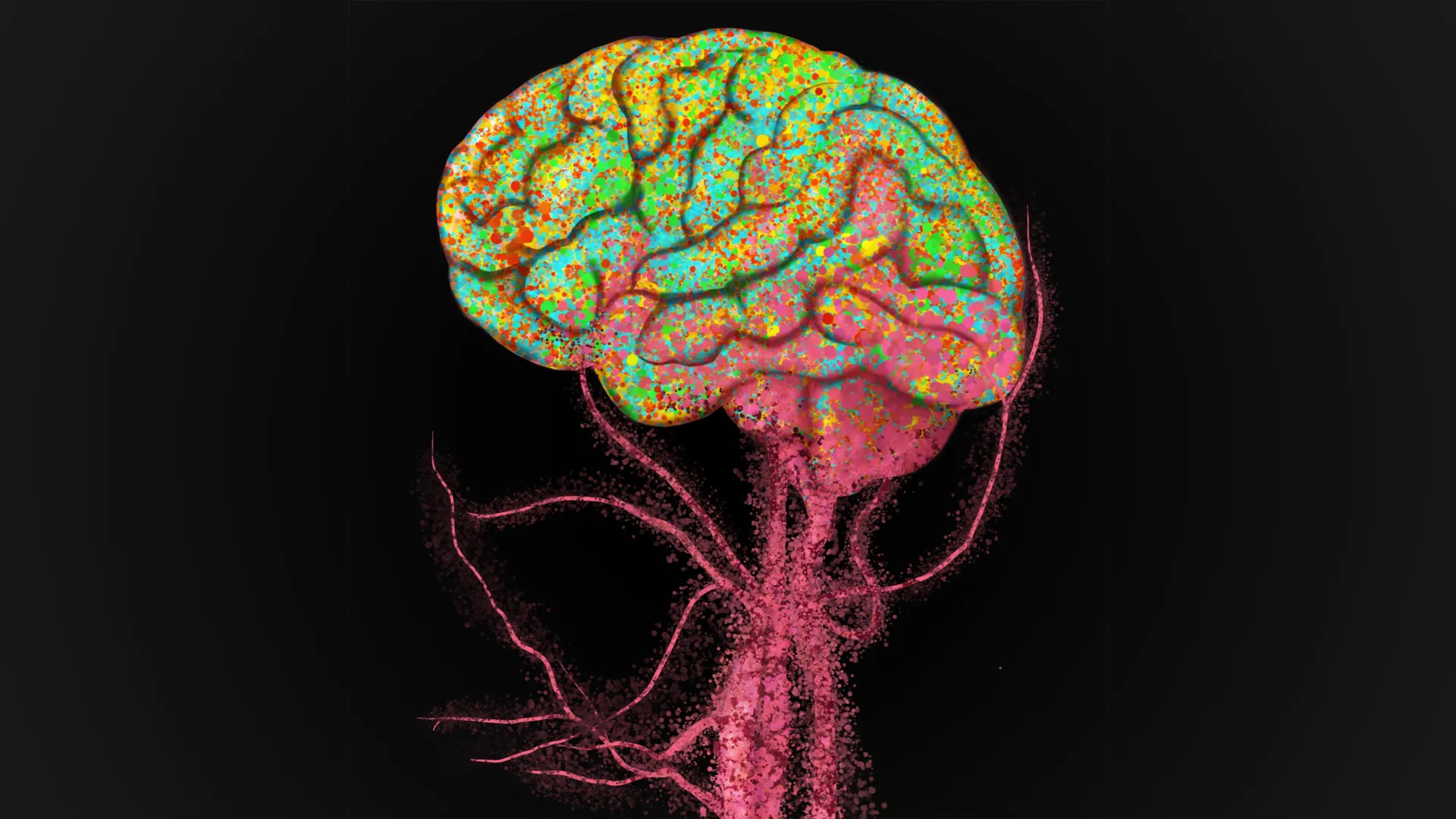 peripheral-immune-cells-breach-the-blood-brain-barrier-infiltrating-the-aging-human-brain