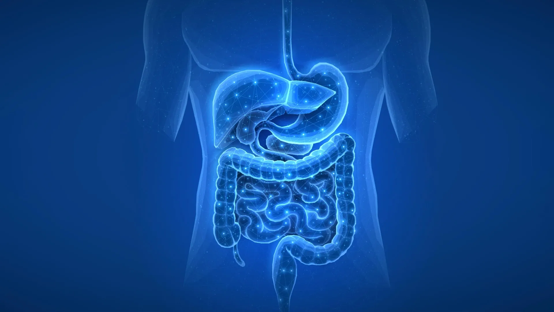 persistent-microbial-signatures-common-pharmaceuticals-exhibit-long-term-influence-on-the-gut-ecosystem