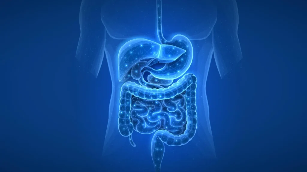 pharmaceutical-footprints-unveiling-the-enduring-impact-of-common-medications-on-the-human-gut-microbiome