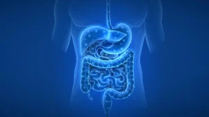 pharmaceutical-footprints-unveiling-the-enduring-impact-of-common-medications-on-the-human-gut-microbiome
