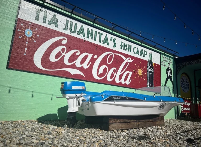 regional-seafood-destinations-an-in-depth-look-at-four-acclaimed-fish-camp-chains-captivating-diners-nationwide