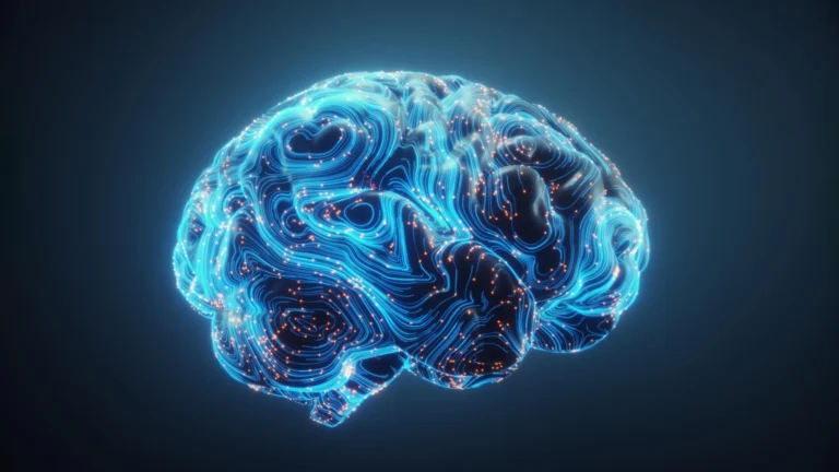 scientists-discover-how-the-brain-rewires-itself-to-truly-multitask