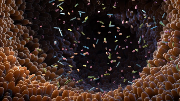 the-gut-microbiomes-unveiled-role-in-synthesizing-vital-compounds-from-plant-based-nutrients