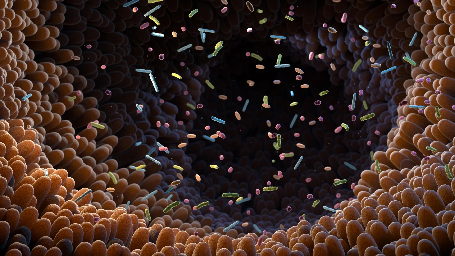 the-gut-microbiomes-unveiled-role-in-synthesizing-vital-compounds-from-plant-based-nutrients