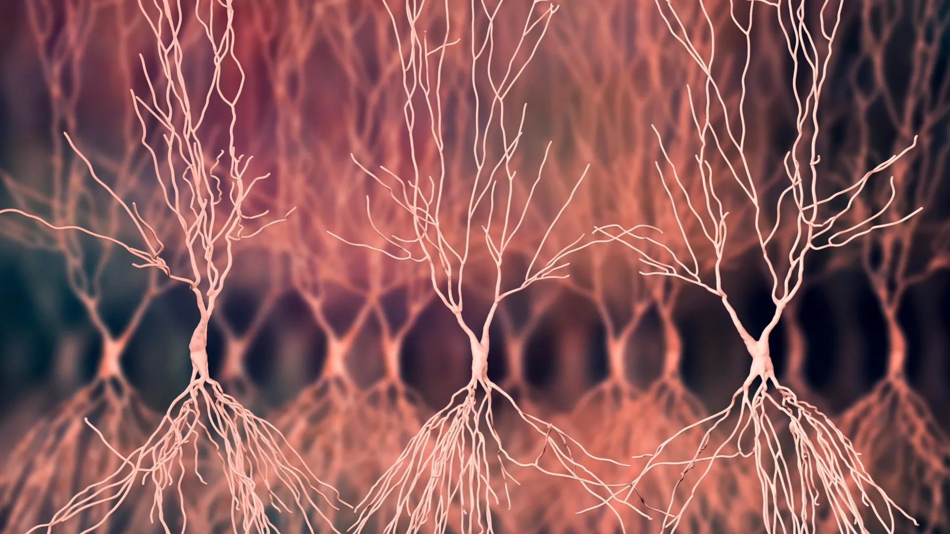unveiling-novel-molecular-tools-to-decipher-the-complex-pathogenesis-of-alzheimers-disease