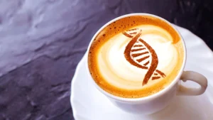 ancient-cellular-energy-regulator-activated-by-caffeine-offers-new-insights-into-aging-processes