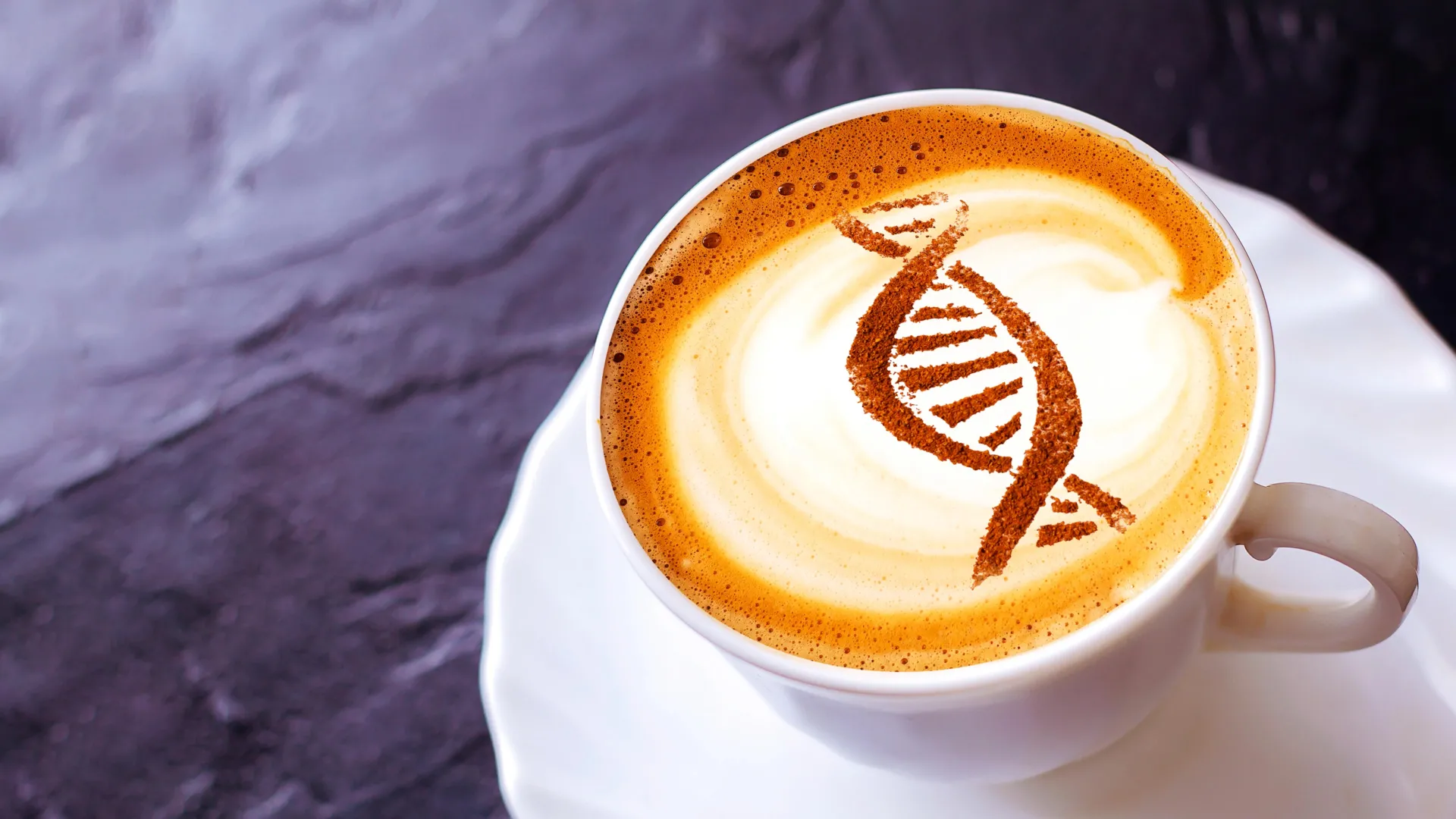 ancient-cellular-energy-regulator-activated-by-caffeine-offers-new-insights-into-aging-processes