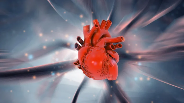 cardiac-regeneration-breakthrough-australian-research-illuminates-the-human-hearts-innate-repair-mechanisms