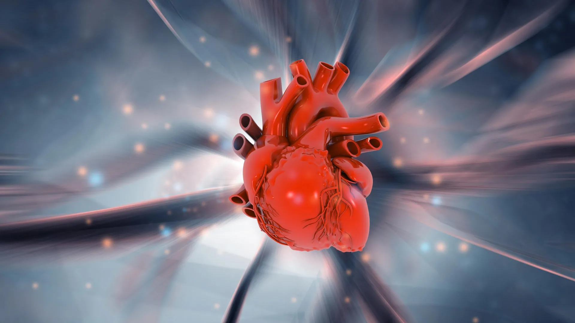 cardiac-regeneration-breakthrough-australian-research-illuminates-the-human-hearts-innate-repair-mechanisms