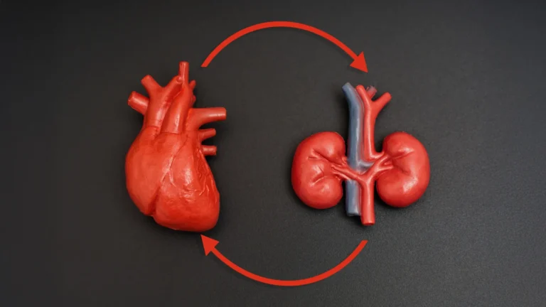 european-cardiology-and-nephrology-societies-unveil-joint-framework-to-combat-intertwined-cardiovascular-and-kidney-diseases