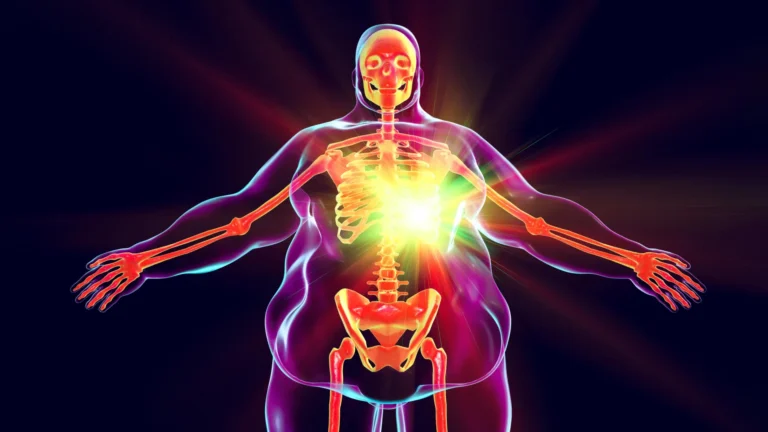 immune-systems-enduring-echo-how-obesity-rewrites-cellular-memory-for-years-post-weight-loss