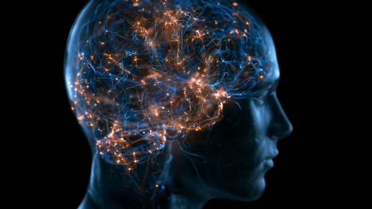 midlife-maturation-of-brains-regulatory-blueprint-revealed-through-advanced-cellular-cartography