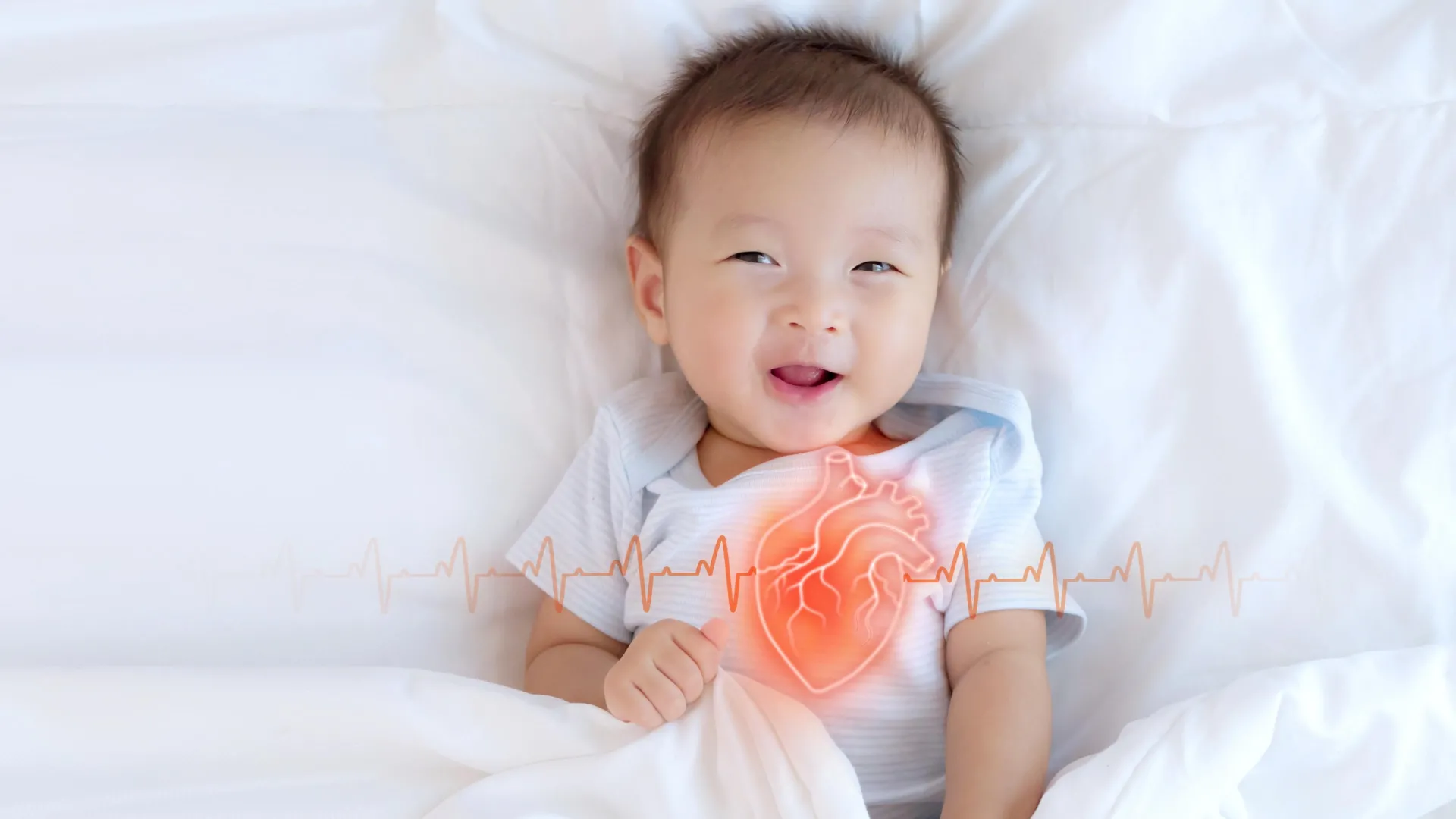 unlocking-the-enigma-of-congenital-heart-disease-a-novel-cellular-signaling-pathway-revealed-in-embryonic-development