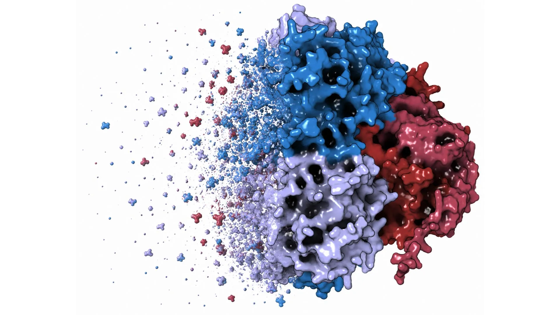 unraveling-the-decades-old-mystery-a-proteins-hidden-role-in-leukemia-drug-efficacy