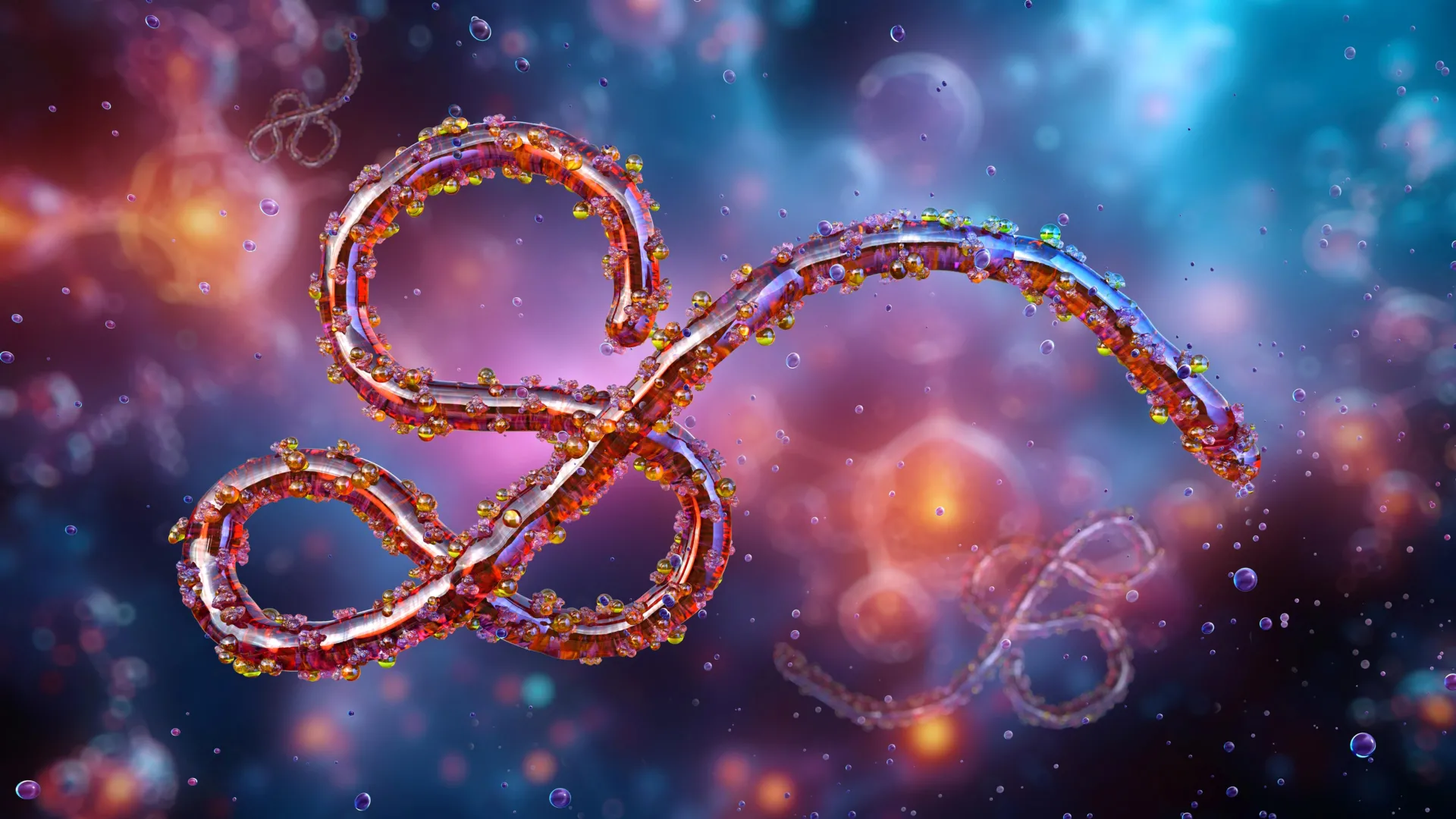 unseen-peril-bundibugyo-virus-resurgence-illuminates-critical-gaps-in-global-health-security