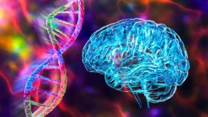 unveiling-a-human-centric-genes-role-in-cognitive-evolution-and-extended-brain-development