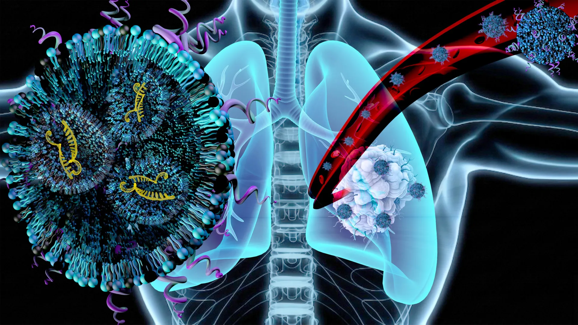 pioneering-nanomedicine-simultaneously-combats-lung-carcinoma-progression-and-associated-muscle-degradation