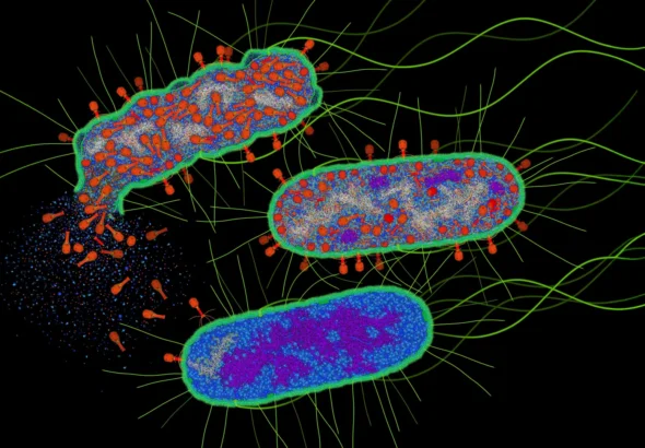 unveiling-microbial-countermeasures-a-viral-enzymes-unintended-role-in-activating-bacterial-antiphage-defenses